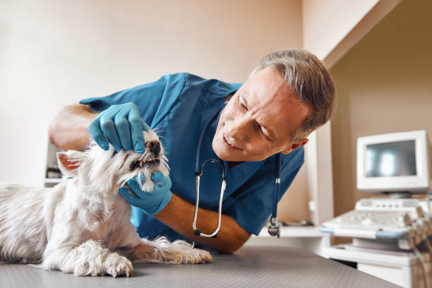 Best Walk-In Emergency Dental Services in Leesburg, FL